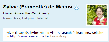 Profil LinkedIn Profil LinkedIn