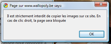 Il est interdit de copier les images !