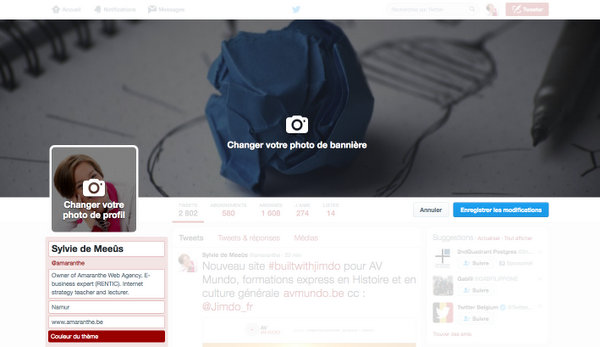 Personnaliser l'apparence de son compte Twitter