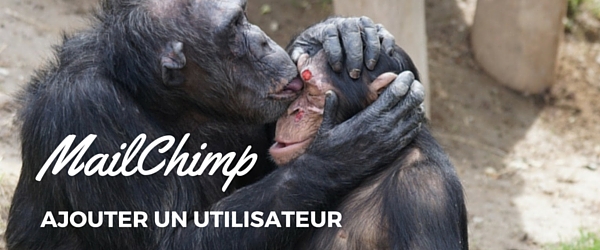 MailChimp : ajouter un utilisateur à son compte