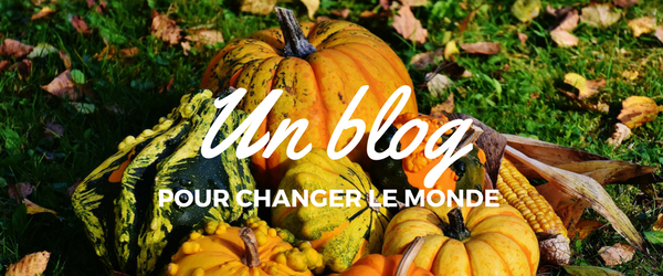 Tenir un blog pour changer le monde