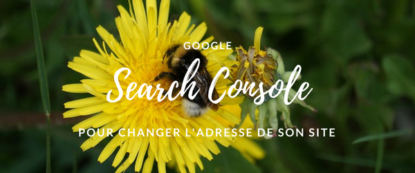 Changer l'adresse de son site et prévenir google via la Search Console