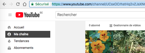 URL chaîne YouTube