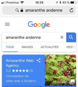 Affichage fiche Google MyBusiness sur mobile